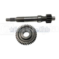 Transmisión primaria Piaggio Zip Fast Rider, Free, Typhoon, Quartz hasta 1995 y varias. 16/37z
