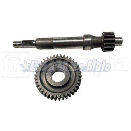 Transmisión primaria Piaggio Zip Fast Rider, Free, Typhoon, Quartz hasta 1995 y varias. 16/37z