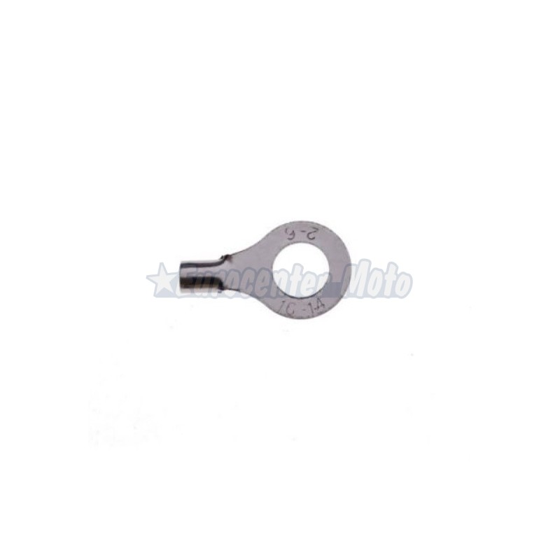 Terminal borne batería universal. 6mm