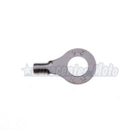 Terminal borne batería universal. 6mm