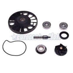 Kit reparación bomba de agua motores Piaggio 125/200 varios modelos (Retén mecánico grande)