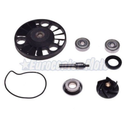 Kit reparación bomba de agua motores Piaggio 125/200 varios modelos (Retén mecánico grande)