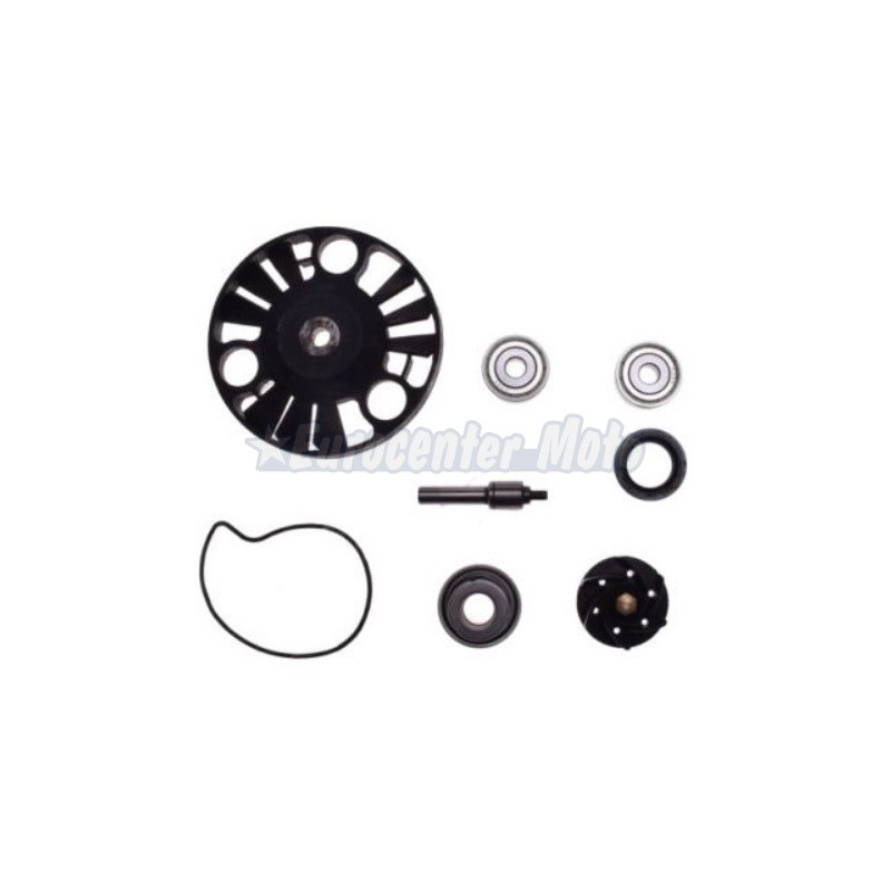 Kit reparación bomba de agua motores Piaggio 125/200 varios modelos (Retén mecánico grande)