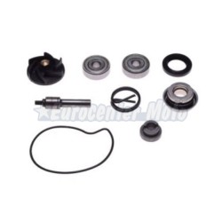 Kit reparación bomba de agua Piaggio Beverly 250/300cc (Retén mecánico 30mm)