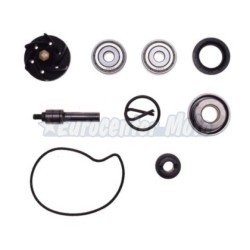 Kit reparación bomba de agua Piaggio Beverly 250/300cc (Retén mecánico 30mm)