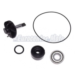 Kit reparación bomba de agua Yamaha X-Max y X-City 125cc