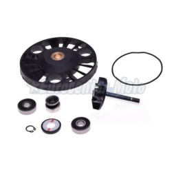 Kit reparación bomba de agua Piaggio Beverly 125/200cc (Retén mecánico pequeño)