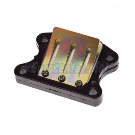 Caja de láminas motores Peugeot, Kymco, Sym y Honda scooter 50 2T Varios modelos