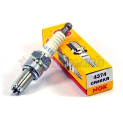 Bujía NGK CR8EKB