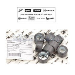 Juego 8 rodillos variador Original Piaggio Beverly, MP3 y X10 350. (25x16-16Gr)