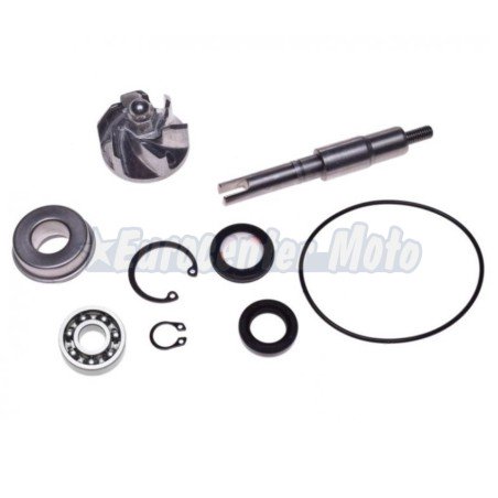 Kit reparación bomba de agua Honda Dylan, PS, S-Wing, SH 125/150cc