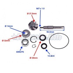 Kit reparación bomba de agua Honda Dylan, PS, S-Wing, SH 125/150cc