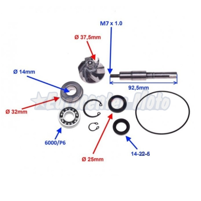 Kit reparación bomba de agua Honda Dylan, PS, S-Wing, SH 125/150cc