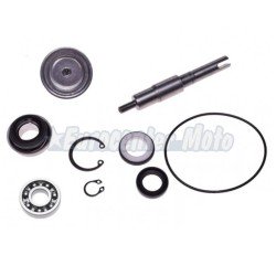 Kit reparación bomba de agua Honda Dylan, PS, S-Wing, SH 125/150cc