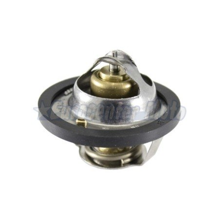 Termostato Yamaha MT-03 660, XT 660 R/X/Z Tenere...