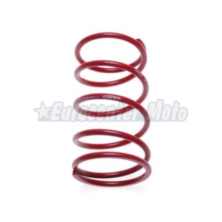 Muelle central embrague Rojo motores Piaggio, Honda, Peugeot y Kymco 50 2T