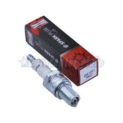 Bujía Champion RN2C