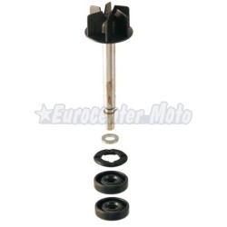 Kit reparación bomba de agua Aprilia Scarabeo, Leonardo 125-150cc BMW C1 125/200