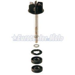 Kit reparación bomba de agua Aprilia Scarabeo, Leonardo 125-150cc BMW C1 125/200