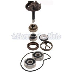 Kit reparación bomba de agua Piaggio Beverly 250cc (Retén mecánico pequeño)