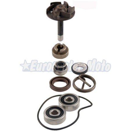 Kit reparación bomba de agua Piaggio Beverly 250cc (Retén mecánico pequeño)