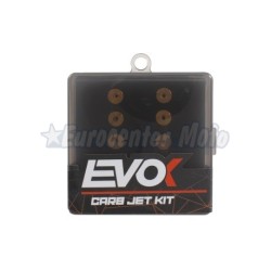 Kit 10 chicles tipo Dellorto 5mm del 75 al 98