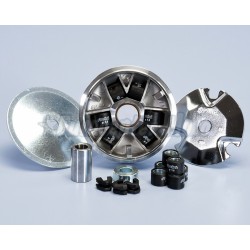 Variador Polini Vespino AL, ALX, NLX...