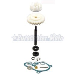 Kit reparación bomba de agua Motores Piaggio 50 Marchas (Aprilia, Derbi, Gilera...)