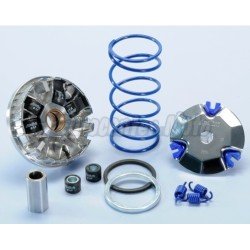 Variador Polini Hi-Speed motores Minarelli/Yamaha Horizontal 50 2T. Rodillos 16x13 de 6,9Gr