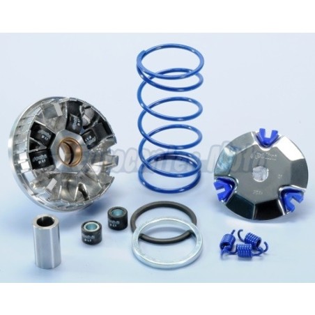 Variador Polini Hi-Speed motores Minarelli/Yamaha Horizontal 50 2T. Rodillos 16x13 de 6,9Gr