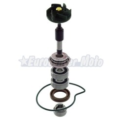 Kit reparación bomba de agua Piaggio Beverly 250/300cc, Vespa GTS 300