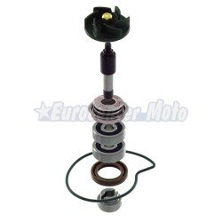 Kit reparación bomba de agua Piaggio Beverly 250/300cc, Vespa GTS 300