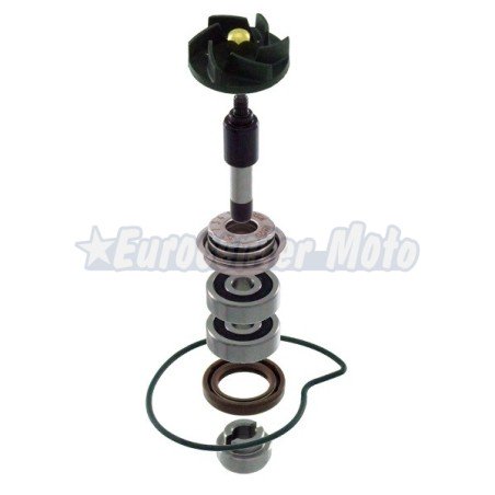 Kit reparación bomba de agua Piaggio Beverly 250/300cc, Vespa GTS 300