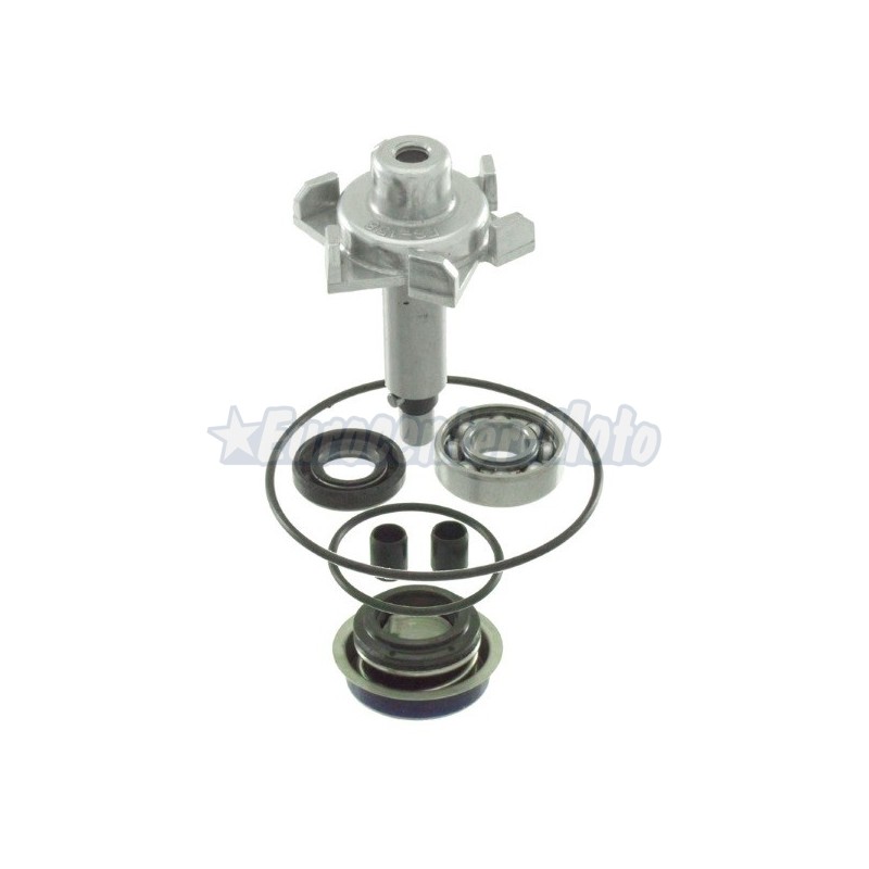 Kit reparacion bomba de agua Honda PCX 125, Forza 125, SH 125 desde 2013
