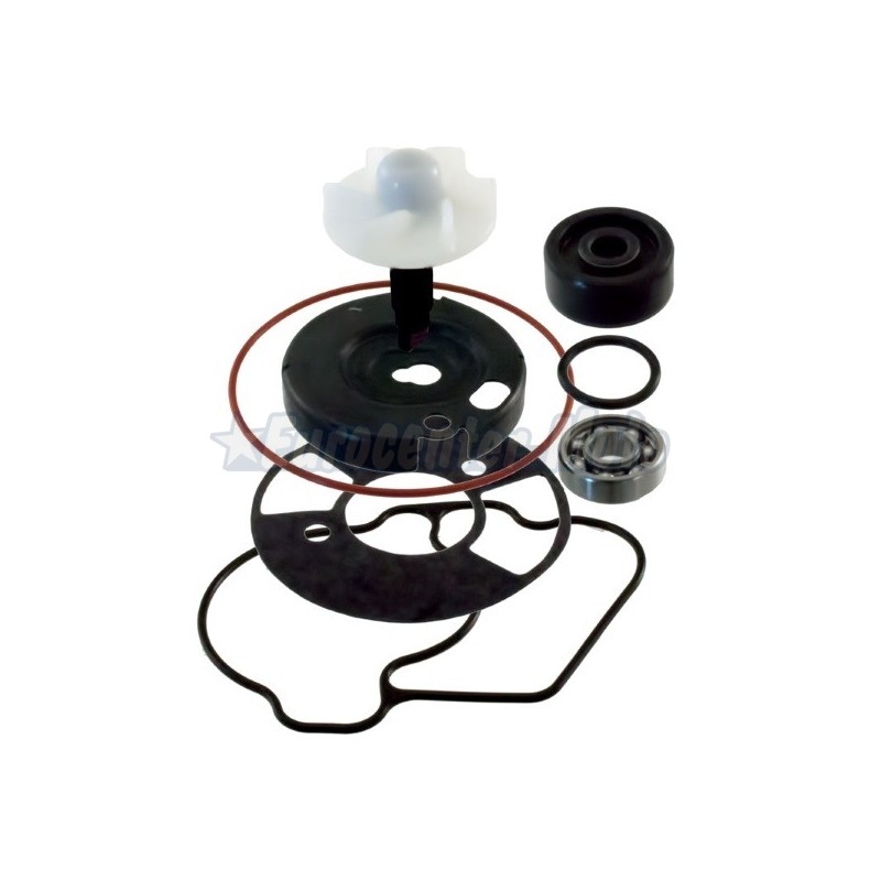 Kit reparación bomba de agua Yamaha Xenter 125-150cc 2012/2014