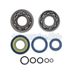 Kit de cojinetes y retenes cigueñal Vespa 50/125 varios modelos