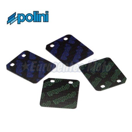 Juego láminas carbono Polini motores Minarelli Horizontal