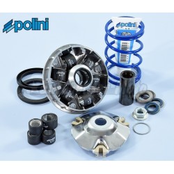 Variador Polini Hi-Speed Evolution 2 Motores Piaggio 50 2T. Rodillos 19x15,5Gr