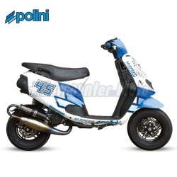 Juego adhesivos Polini. 2 Unidades (48x34)