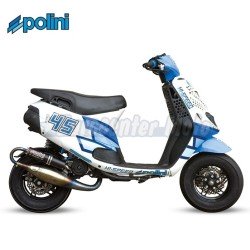 Juego adhesivos Polini. 2 Unidades (48x34)