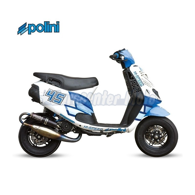 Juego adhesivos Polini. 2 Unidades (48x34)