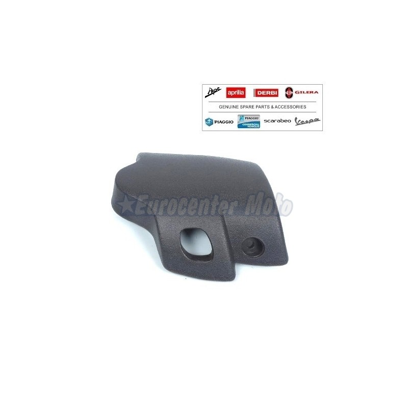 Carcasa tapa bomba de freno Original Piaggio Zip desde 2001