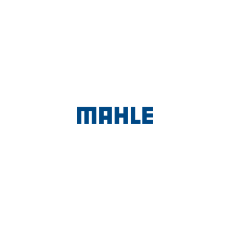 Mahle Filter