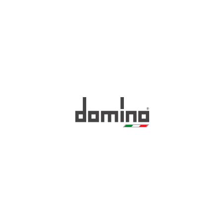 Domino