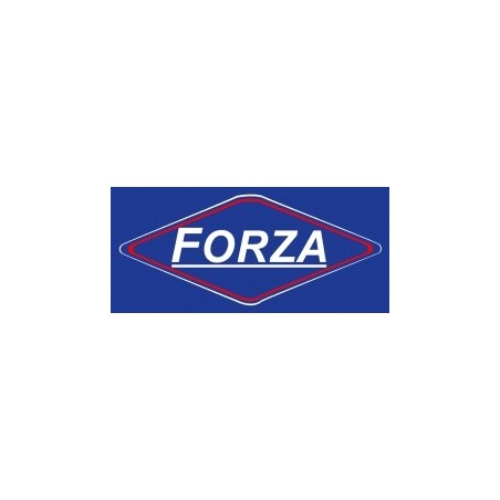 Forza