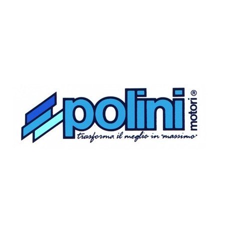 Polini Motori s.p.a