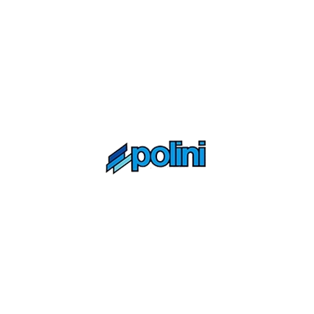 Polini Motori s.p.a